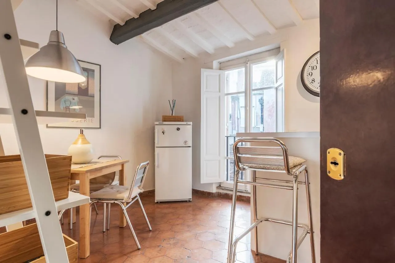 Charming Loft Navona Apartment Rome 0*,  Italy